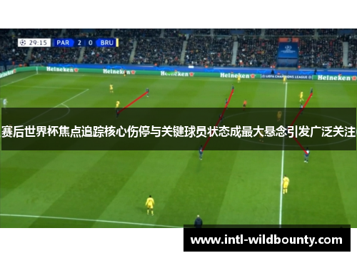 赛后世界杯焦点追踪核心伤停与关键球员状态成最大悬念引发广泛关注